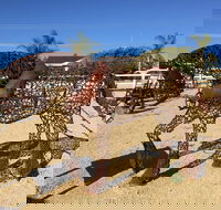 Gundersen Reserve - Perisher Accommodation