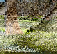 Leaghur State Park - Perisher Accommodation