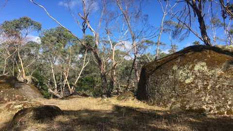 Bailey's Rocks - Dergholm State Park - Perisher Accommodation 0