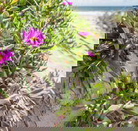 Fort Bribie - Perisher Accommodation