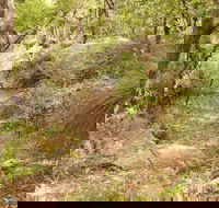 Mount Carnarvon Walking Track - Perisher Accommodation