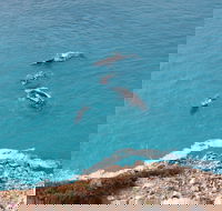 Nullarbor National Park - Perisher Accommodation