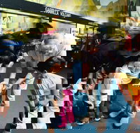 Crystal Kingdom - Perisher Accommodation