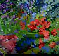 Ferry Artists Gallery - Perisher Accommodation