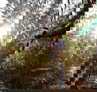 Kinglake National Park - Perisher Accommodation