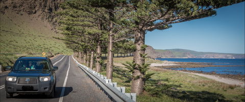 Lady Bay Beach - Perisher Accommodation 0