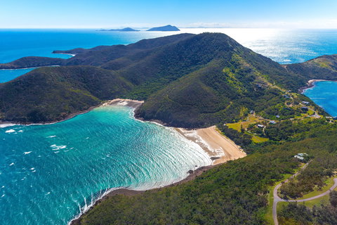 Whale Watching On Keswick Island - Perisher Accommodation 1