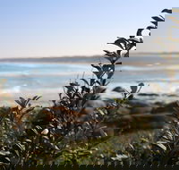 Cape Conran Coastal Park - Perisher Accommodation
