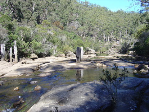 Frere's Crossing Bushwalk - Perisher Accommodation 0