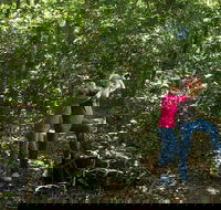 Iluka Rainforest Walking Track - Perisher Accommodation