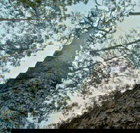 O'Sullivans Gap Picnic Area - Perisher Accommodation