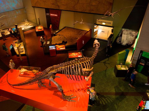 Queensland Museum - Perisher Accommodation 2