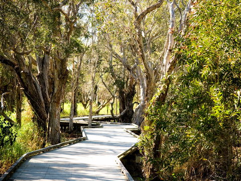 Eagleby Wetlands - Perisher Accommodation 1