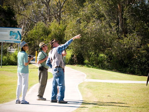 Eagleby Wetlands - Perisher Accommodation 2