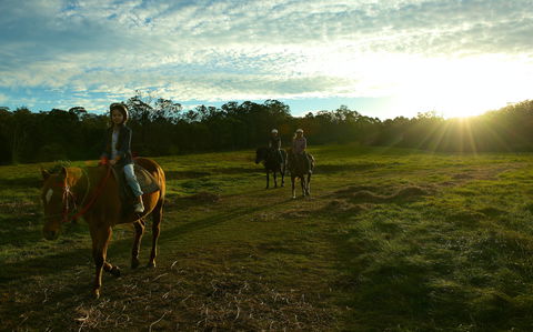 Scenic NSW Horse Riding Centre - Perisher Accommodation 0