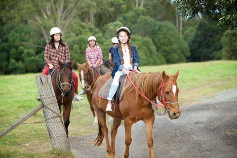 Scenic NSW Horse Riding Centre - Perisher Accommodation 2