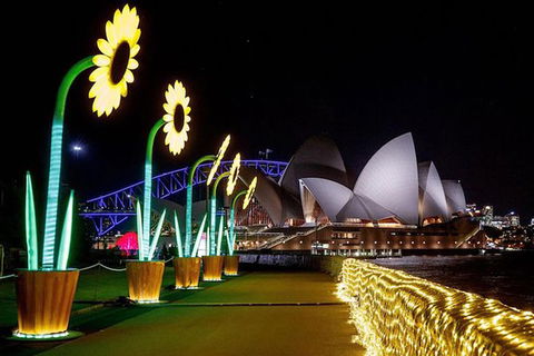 Vivid 90-Minute Sydney Harbour Intimate Catamaran Cruise With Canapes - Perisher Accommodation 4