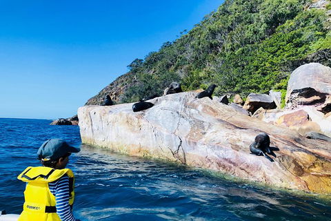 3 Day Pittwater Escape - Perisher Accommodation 1