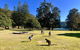 3 Day Pittwater Escape - thumb 8