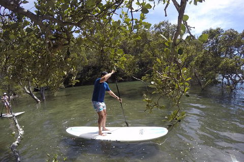 Ku-ring-gai Chase National Park Stand Up Paddleboard Tour - Perisher Accommodation 0