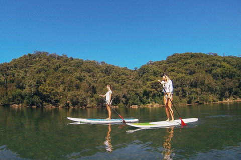 Ku-ring-gai Chase National Park Stand Up Paddleboard Tour - Perisher Accommodation 3