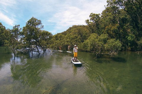 Ku-ring-gai Chase National Park Stand Up Paddleboard Tour - Perisher Accommodation 1