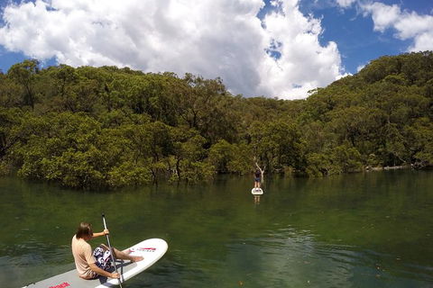Ku-ring-gai Chase National Park Stand Up Paddleboard Tour - Perisher Accommodation 5