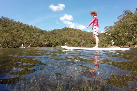 Ku-ring-gai Chase National Park Stand Up Paddleboard Tour - Perisher Accommodation 2