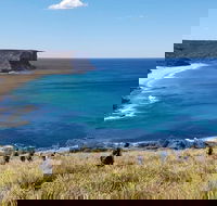 Hike into the Royal National Park - Perisher Accommodation