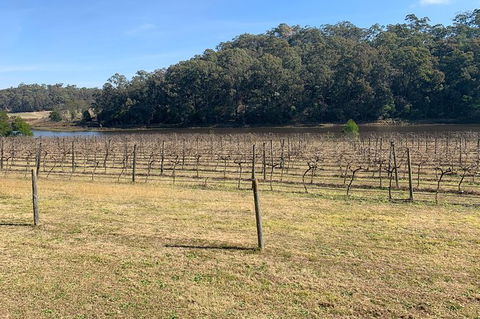 Sydney Winery And Cider Tour. - Perisher Accommodation 4