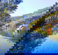 Middle Harbour Mangrove Explorer - Perisher Accommodation