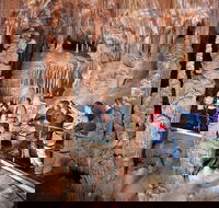 Blue Mountains Private Tour from Sydney with Jenolan Caves - Perisher Accommodation