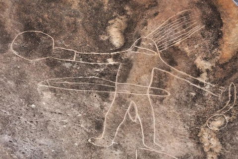 Kangaroo Encounter & Aboriginal Rock Arts Half-Day Trip From Sydney - Perisher Accommodation 4