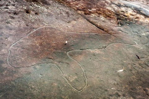 Kangaroo Encounter & Aboriginal Rock Arts Half-Day Trip From Sydney - Perisher Accommodation 8