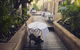 Darlinghurst Dining Walk - thumb 4