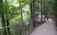 Private Blue Mountains Tour With Expert Guide - thumb 11