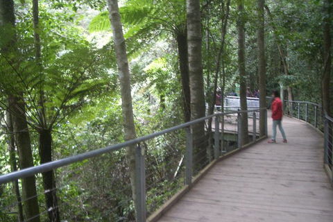 Private Blue Mountains Tour With Expert Guide - Perisher Accommodation 11