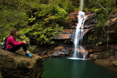 Blue Mountains Off The Beaten Track 4WD Day Adventure - Perisher Accommodation 1