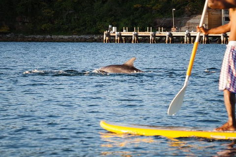 1 Hour Stand Up Paddle Board Rental - Perisher Accommodation 3