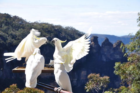 Private Blue Mountains Tour - Perisher Accommodation 2