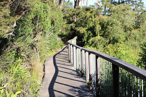 Sydney Harbour Walks - Perisher Accommodation 4