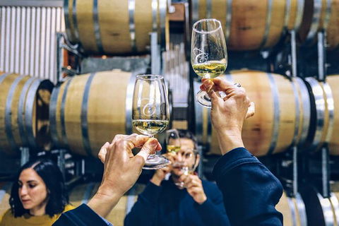 Taste Of The Highlands: Pinot Masterclass And Gourmet Lunch With Wine Pairings - Perisher Accommodation 8