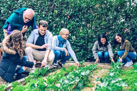 Taste Of The Highlands: Pinot Masterclass And Gourmet Lunch With Wine Pairings - Perisher Accommodation 10