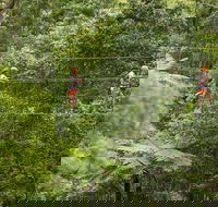 Illawarra Fly Treetop Adventures Admission Including Zipline Tour - Perisher Accommodation