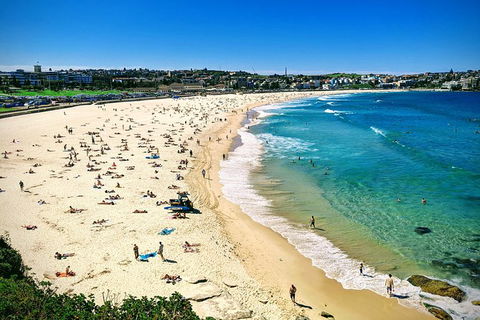Sydney & Bondi Beach Plus Local Secrets With \'Personalised Sydney Tours\' - Perisher Accommodation 12