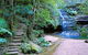 Private Blue Mountains Photography Expedition - thumb 7