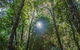 Private Blue Mountains Photography Expedition - thumb 5