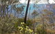 Blue Mountains - thumb 0