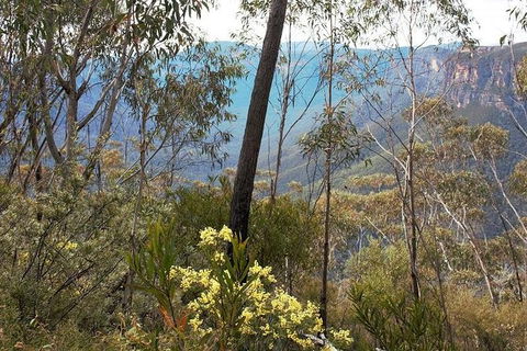 Blue Mountains - Perisher Accommodation 0