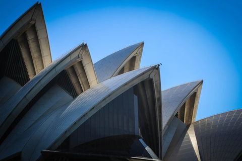 Private Sydney Harbour Sightseeing Cruise With Local Captain - Perisher Accommodation 6